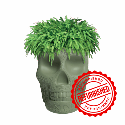 [리퍼브] Mexico Planter Balsam Green (Refurbished)