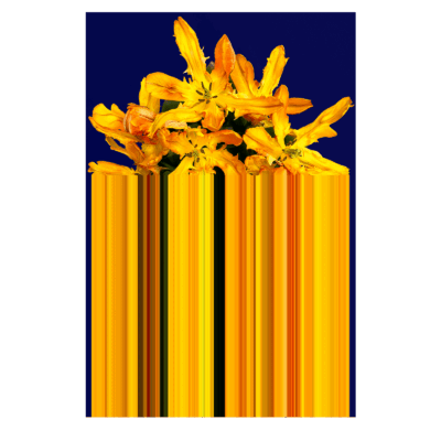 Glitch Yellow Rectangular Carpet